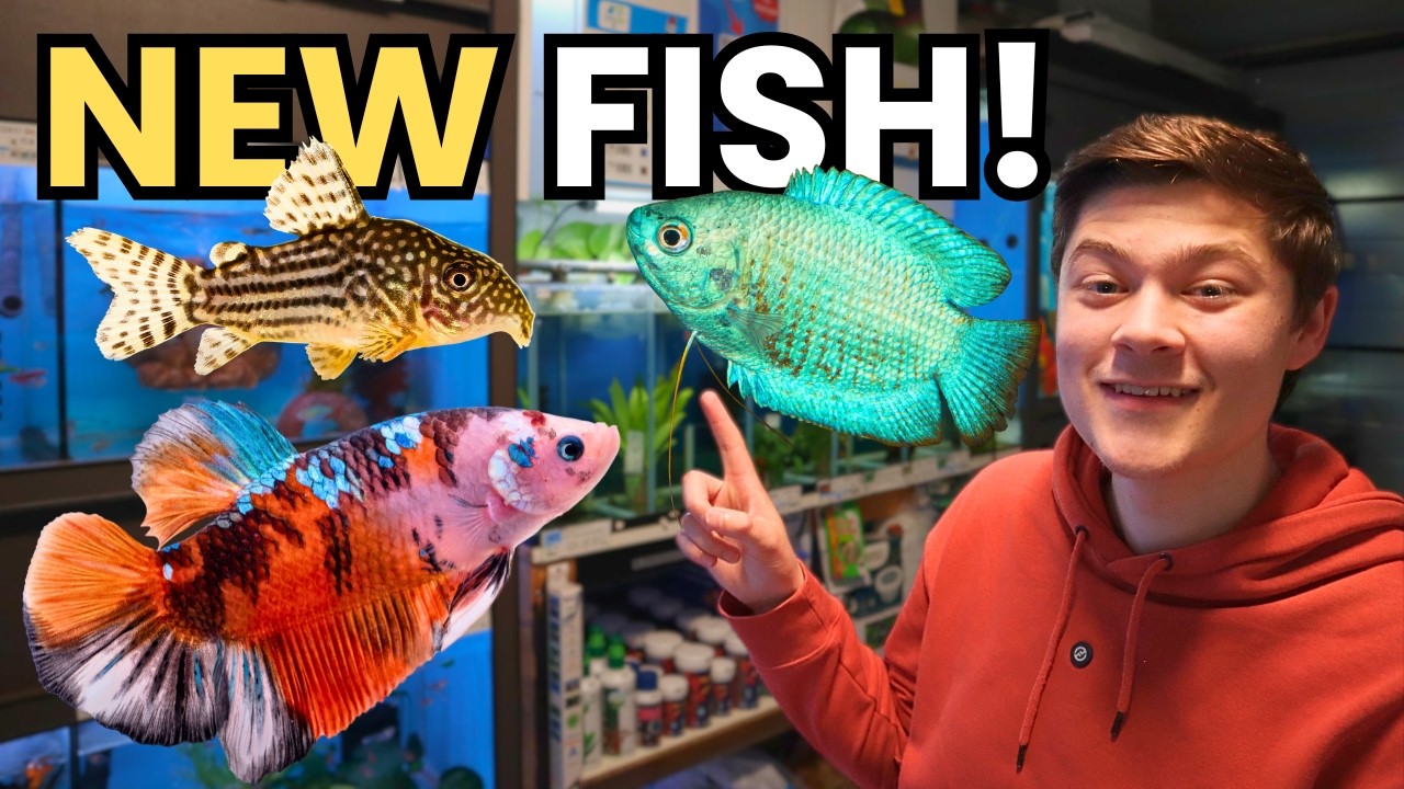 UNBOXING $500 Fish Haul For My FISH Store!