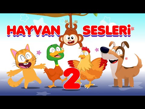 Hayvan Sesleri (Yeni