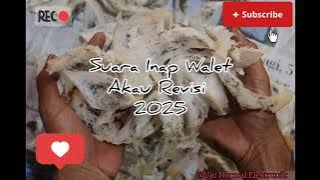 Suara Inap Walet ‼️ Akau Revisi 2025
