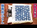 【猫用ふとん】人間みたいに布団で寝る子猫2匹が可愛い!