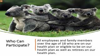 2026 Wellness Program Video