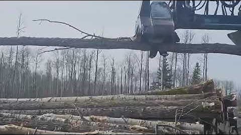 664c55c993c3bca95d877a6ff26527ce