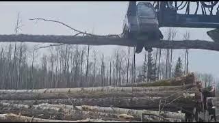 664c55c993c3bca95d877a6ff26527ce