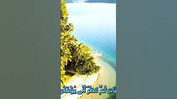 سورة المائدة و.كا،.نك تسمعه لأول مر،ة🥀.❤️.🌻.🌺🌹بصوت الشيخ حمزة مد،بو.ح🏵️،💖.🌺.🌻.،💘،،🌼