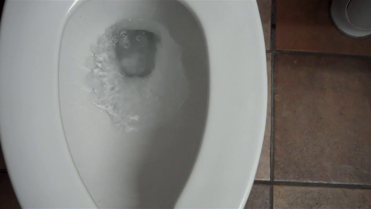 Proflo Toilet at Marshalls YouTube