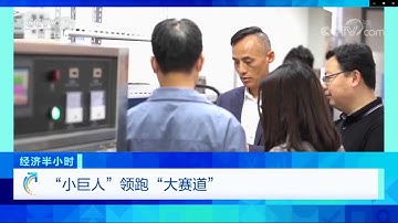 NEXGO is Reported by CCTV--The Main and Well-Known Media in China