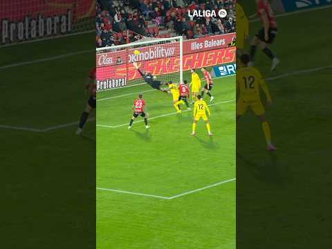 😱 QUINA DOBLE OCASIÓ!