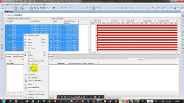 How to import Activity Relationships from Excel to Primavera P6 Part 05