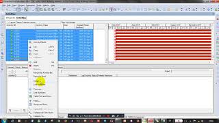 How to import Activity Relationships from Excel to Primavera P6 Part 05