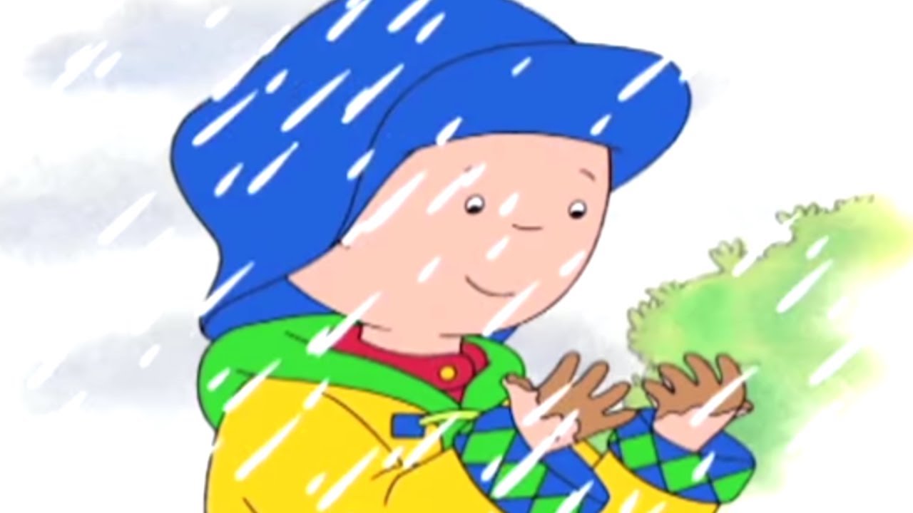 Caillou en - Caillou y el de los Días de Lluvia | Dibujos Animados Capítulos Completos YouTube