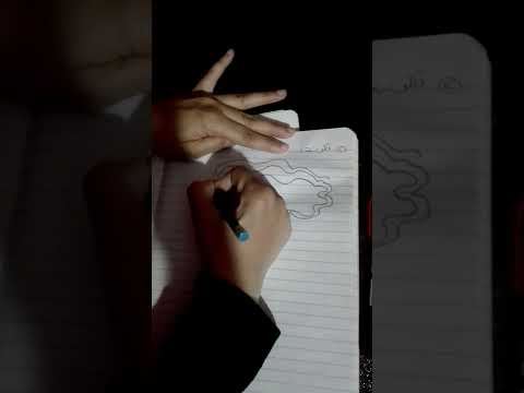 رسم الكويستا