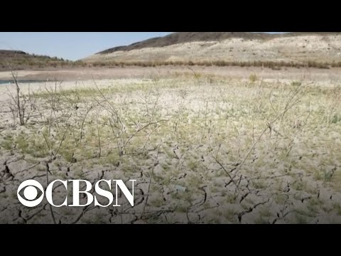 Historic drought impacting