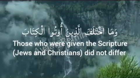 سورة آل عمران - آية (19) - ناصر القطامي