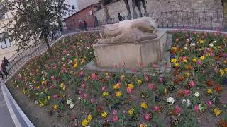 Jay Creature Croatia Day One