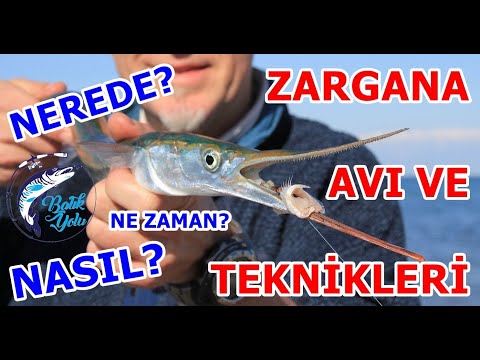 Zargana Ne Zaman Nerede ve Nasıl Avlanır ?