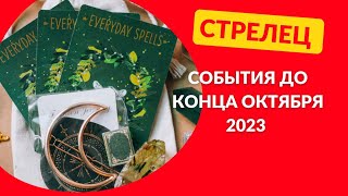 Таро Гороскоп Для Лошади 2024 Г
