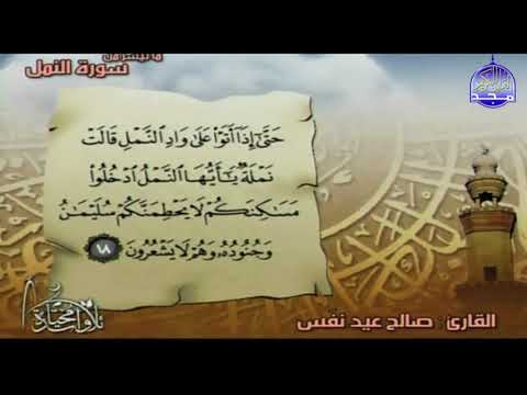 تلاوة مختارة ما تيسر من سورة النمل بصوت القارئ صالح عيد نفس