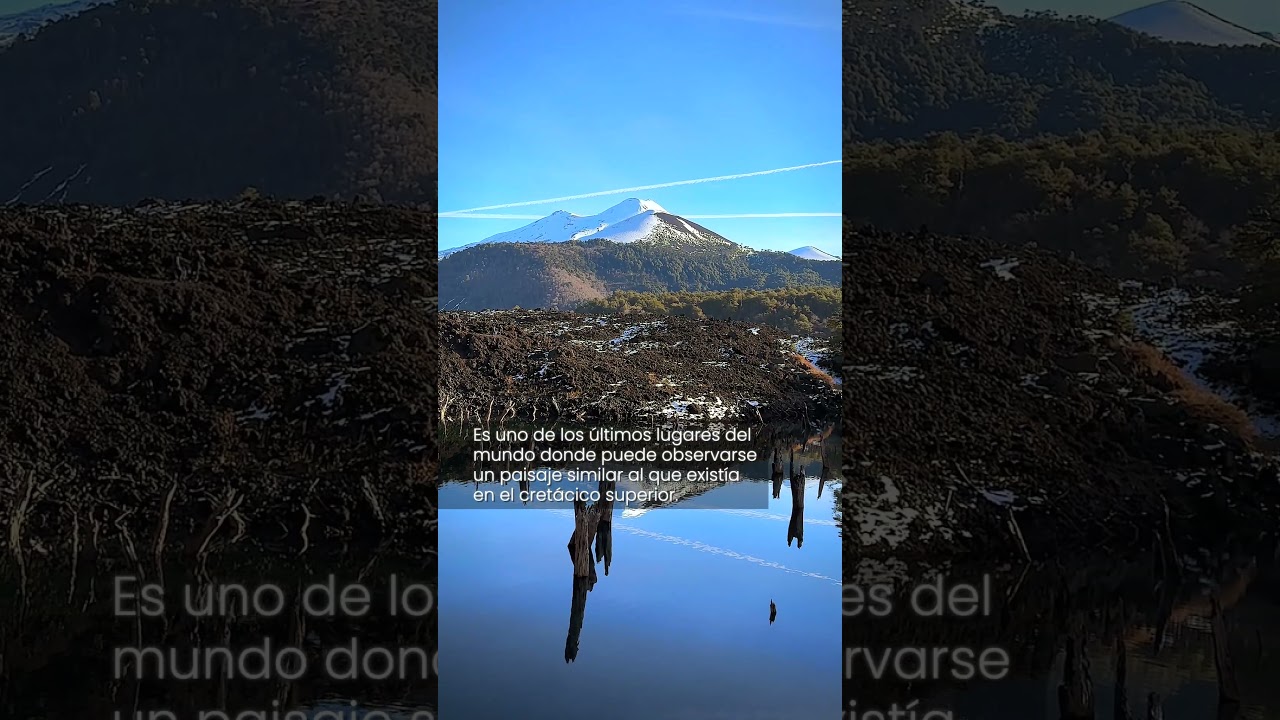 CHILE, Parque Nacional Conguillío en La Araucana /Andes Chilenos.