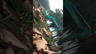 PT BUDI MURNI mas bro PT BUDI MURNI mas bro