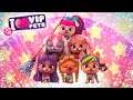 🎊🎉 GRAD DAY 🎉🎊 VIP PETS 🌈 New Episode ✨ VIDEOS and CARTOONS for KIDS in ENGLISH