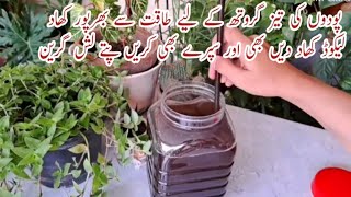 Powerful Liquid Fertilizer for All Plants | Spray Fertilizer for Healthy Plants