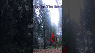 Secret Underground Bunker In The Woods #shorts #bunker #exploring