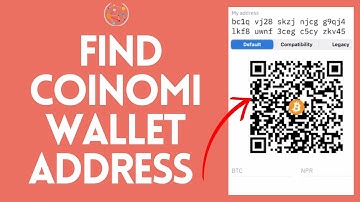 How to Find Coinomi Wallet Address (2024)