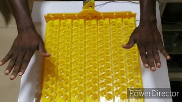 Automatic egg incubator turner for birds