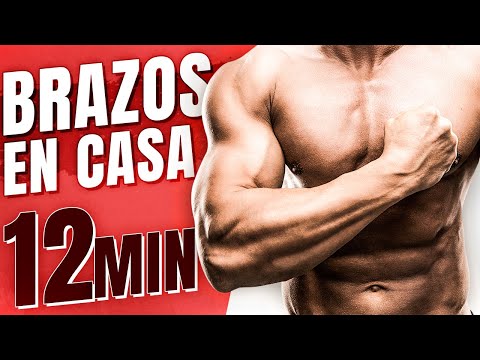 EJERCICIOS para BRAZOS FUERTES SIN PESAS - RUTINA para BICEPS y TRICEPS en  CASA 