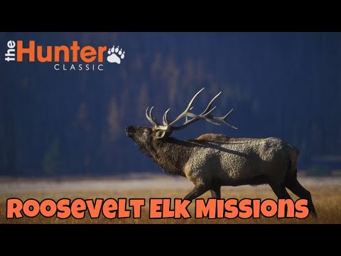 Видео: The Hunter Classic Roosevelt Elk Missions! Охота на Оленя Рузвельта как выполнить все 17 миссий!