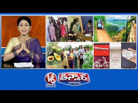 MLC Elections | Eco Tourism - Nallamala | Avocado Fruit Cultivating | Party Symbols - Jewellery | V6 - V6NEWSTELUGU