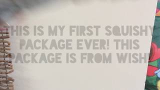 FIRST SQUISHY EVER!! | Squishy package from wish!
