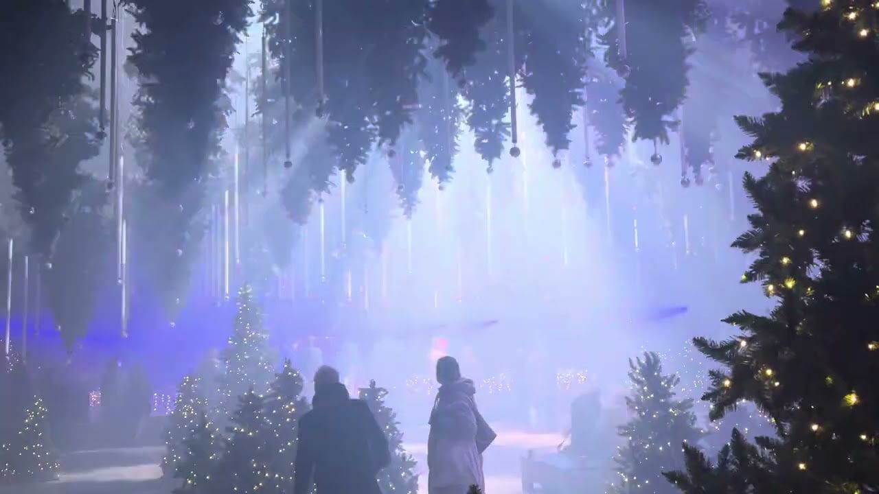 DARK MATTER – FOREST WINTERLIGHTS 2025 🌲✨