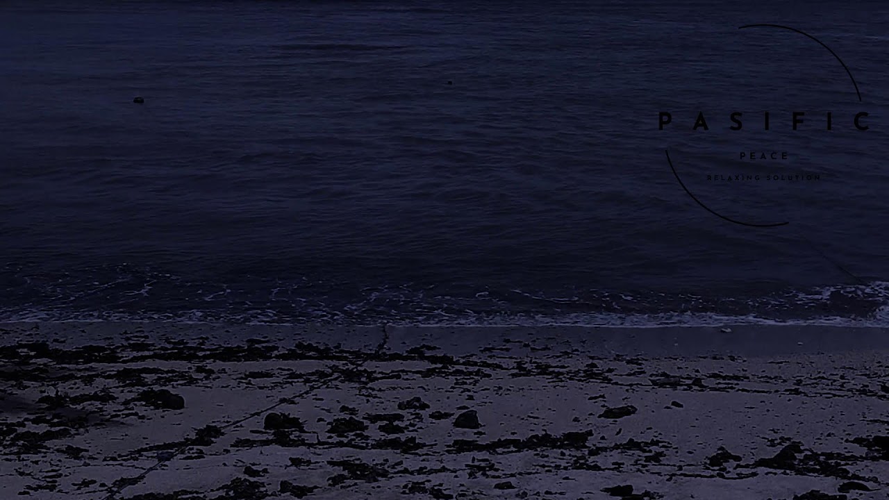 ASMR Seaside Serenity | Ocean Breeze & Gentle Waves for Sleeping, Studying, and Relaxing