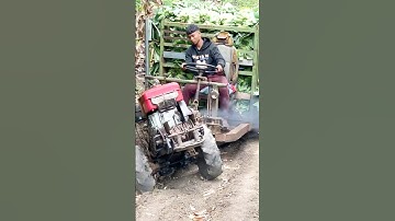 #shorts #shortvideo #prat 3 xe công nông 2 cầu chở chuối