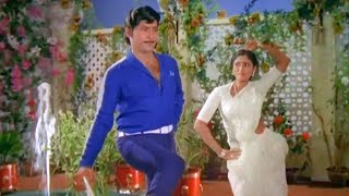 Sobhan Babu, Jayasudha Evergreen Superhit Video Song Korukunna Mogudu Movie Songs Telugu Songs