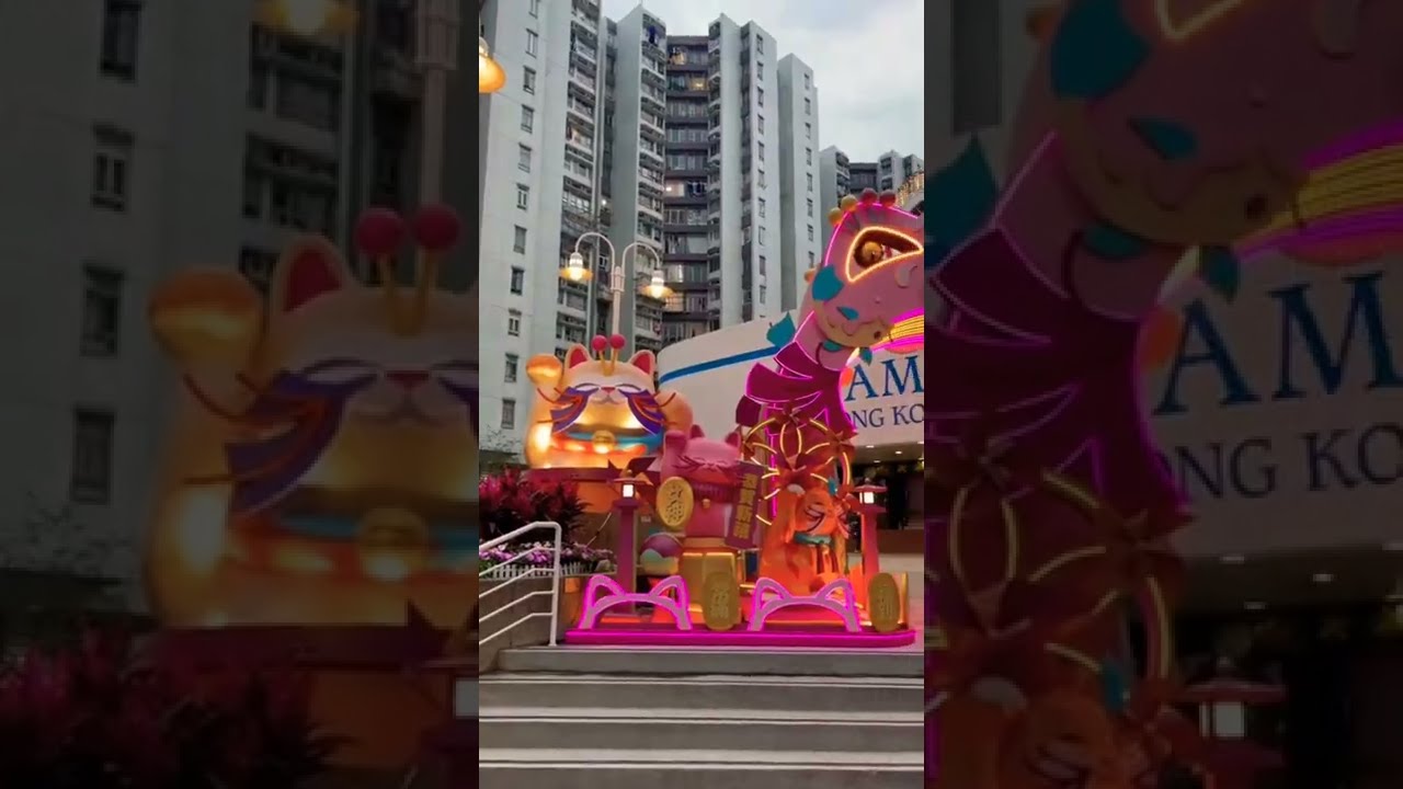 yaar ko hamne ja baja dekha | abida parveen | whatsapp status | new song whatsapp status