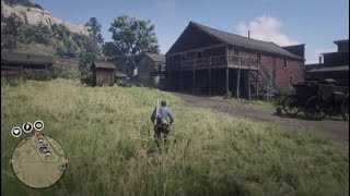 How to make new friends lol - Red Dead Online
