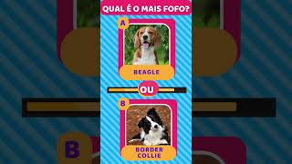 Quiz da Fofura: Descubra a Raça de Cachorro Mais Fofa! #shorts