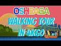 Osheaga walking tour 2022  4k60 u.