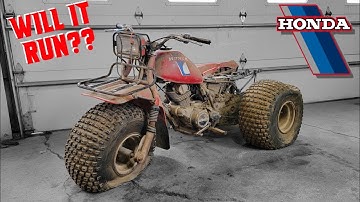 ABANDONED 3 Wheeler REVIVAL! Will This Old Honda Still Ride?