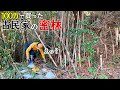 果てしない山仕事。大量の〇〇がなぜここに?【古民家暮らし#12】