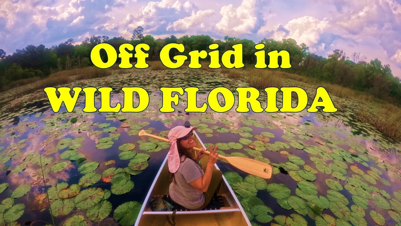 Saving Wild Florida