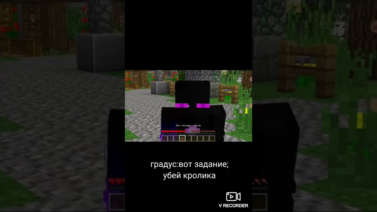 Райм и градус шип. Райм шип. Градус и Райм шип. Градус и Райм. Градус и Райм шип фото