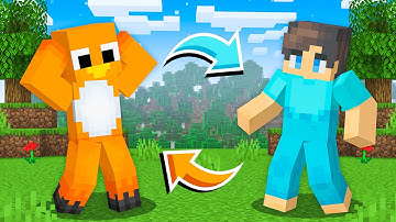 We Swapped Colors in Minecraft!
