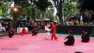 PENCAK SILAT BUDAYA - BEKSI SELEMPANG BETAWI