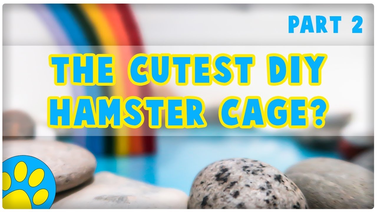 dwarf hamster food It's So Cute YouTube Tried To Demonetise It! | Building The Beaker [2/2]