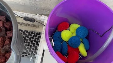 Turtle Tank Bucket Filter - DIY