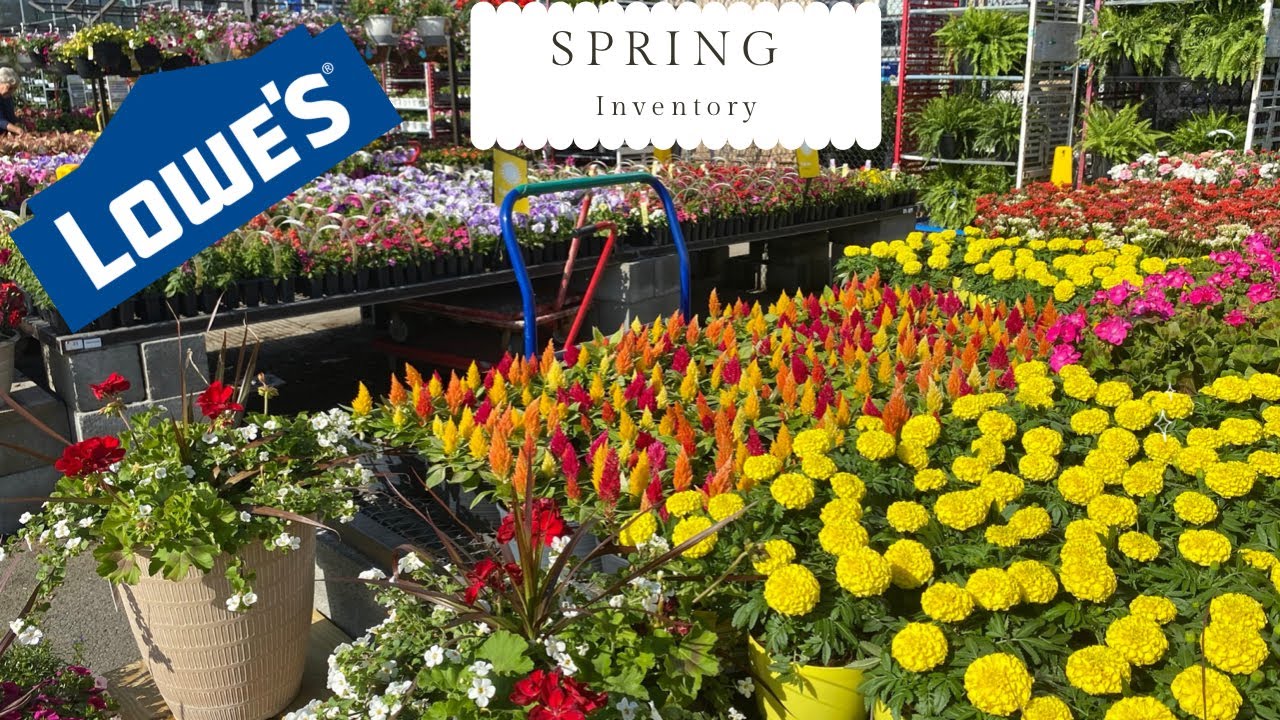 Lowes Garden Center May Plant Inventory, Spring 2022 YouTube