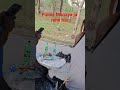 picnic Manaya ja raha hai